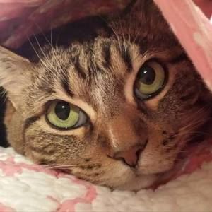 Meet your Posher, Vanessa